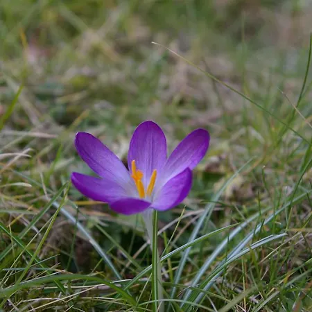 Apartment Alte Kelterei *